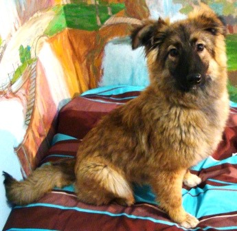 DSC0886Л.JPG