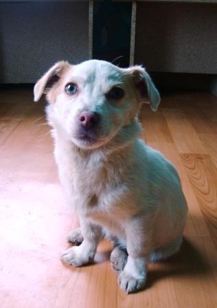 DSC09492ричик.JPG