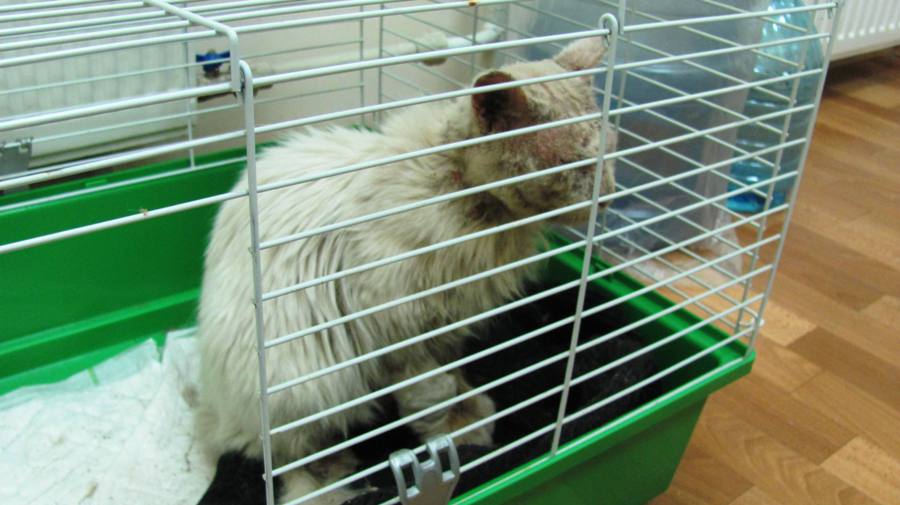 Копия IMG_6809.JPG