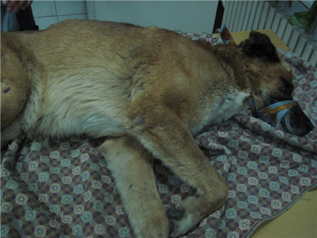 ad4c5e78261e.jpg