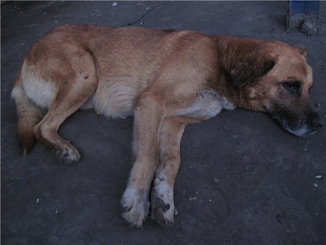 044af8c35e43.jpg