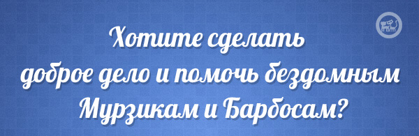 header.jpg