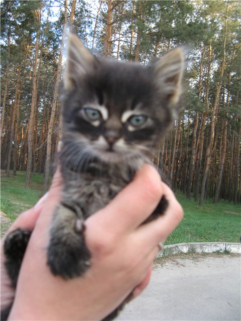 котя мальчик.jpg