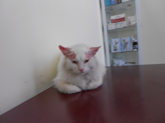 DSCN3254.JPG