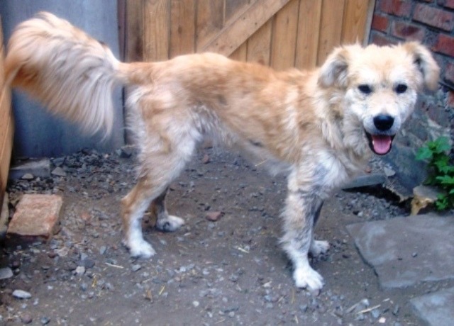 DSC09902симон.JPG