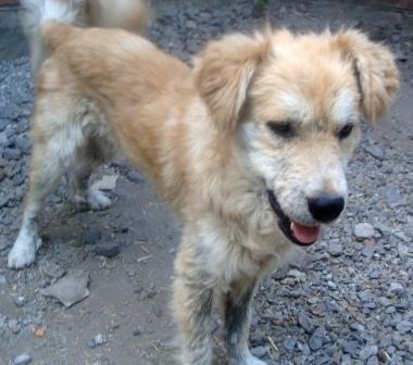 DSC09904симон.JPG