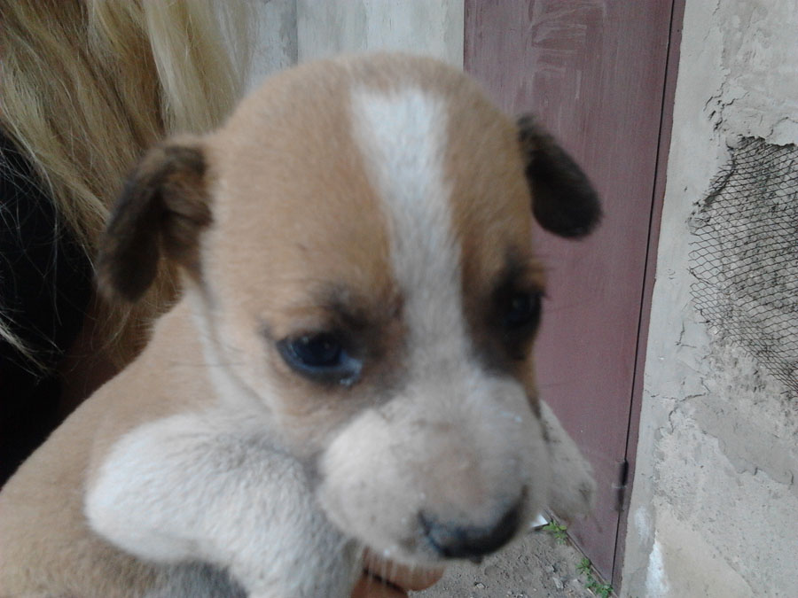 2013-05-09 17.46.43.jpg