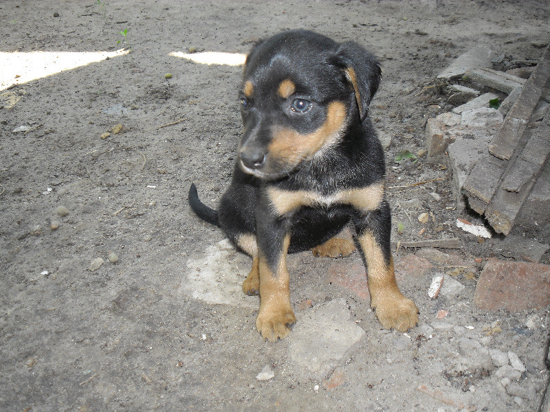 SAM_1167.JPG