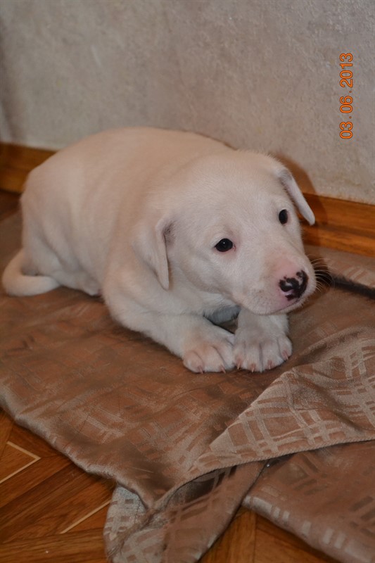 DSC_0640_533x800.jpg