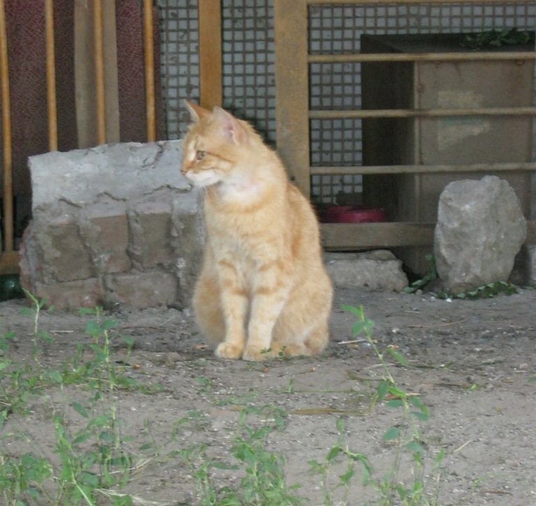 IMG_3528.jpg