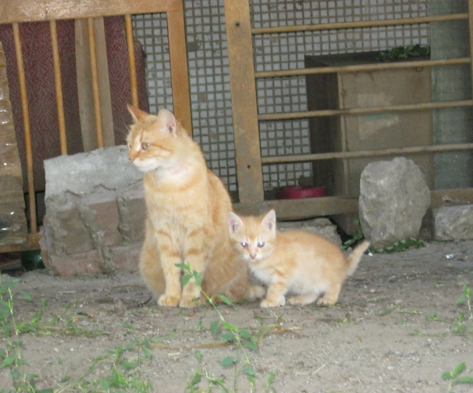 IMG_3531.jpg