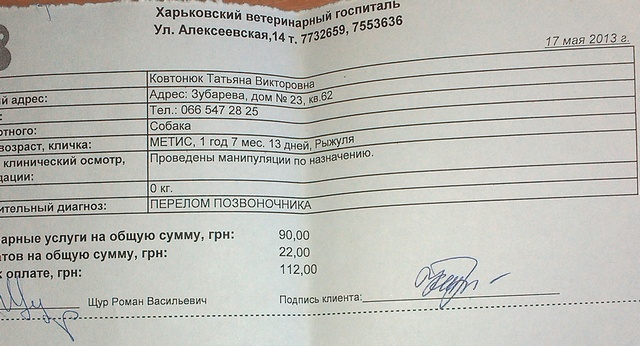 IMAG0055.jpg