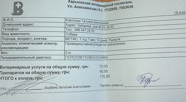 IMAG0057.jpg