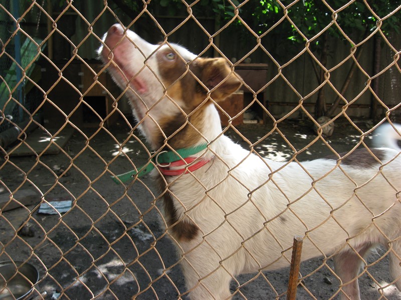 IMG_7535 - копия_800x600.jpg