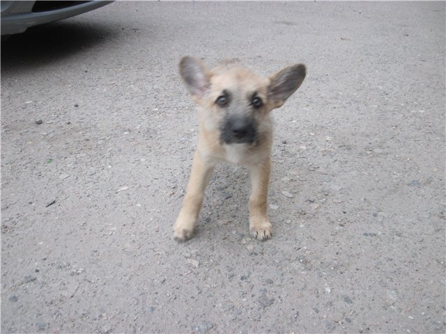Дана.jpg