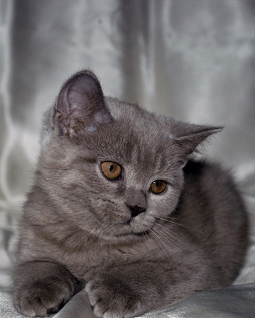 DSC_0035.JPG