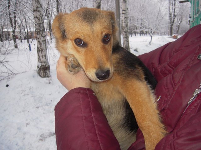 DSCN4462.JPG