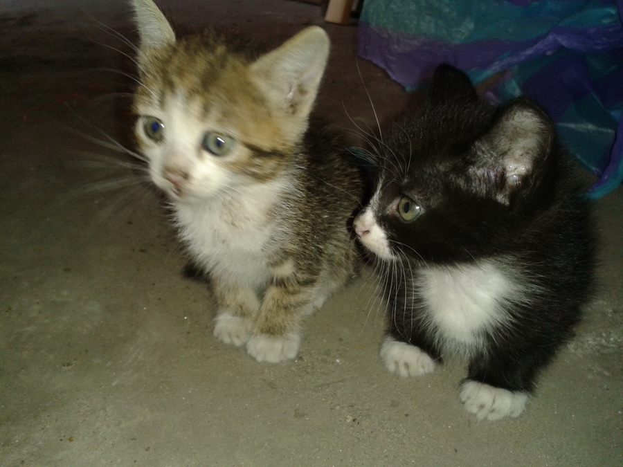 20130730_131501.jpg
