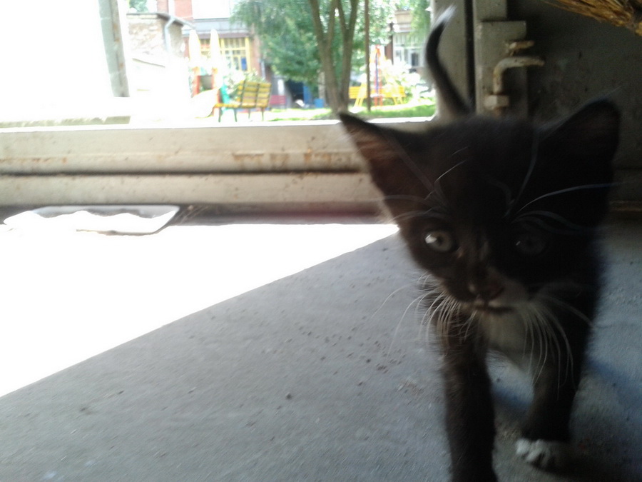 20130730_131655.jpg