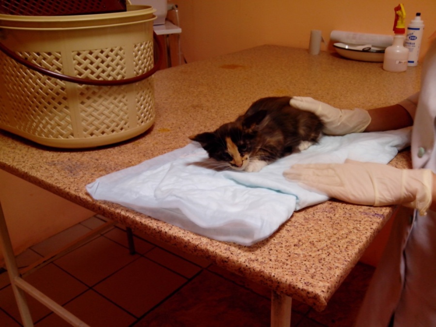 IMG_20130803_103607.jpg