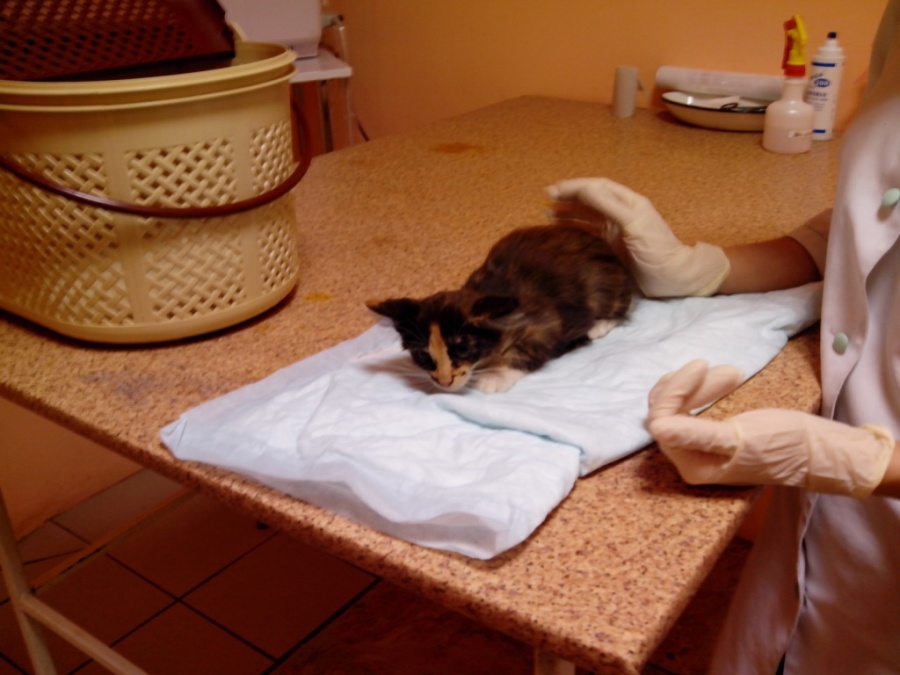 IMG_20130803_103620.jpg
