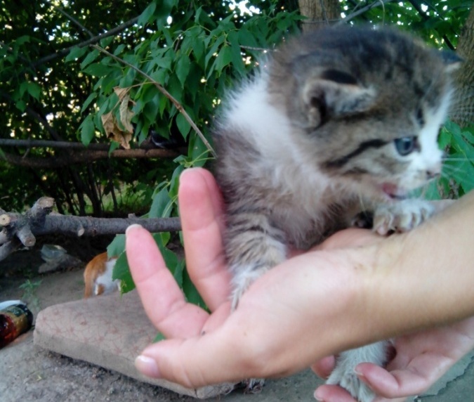 IMG_20130819_081012.jpg