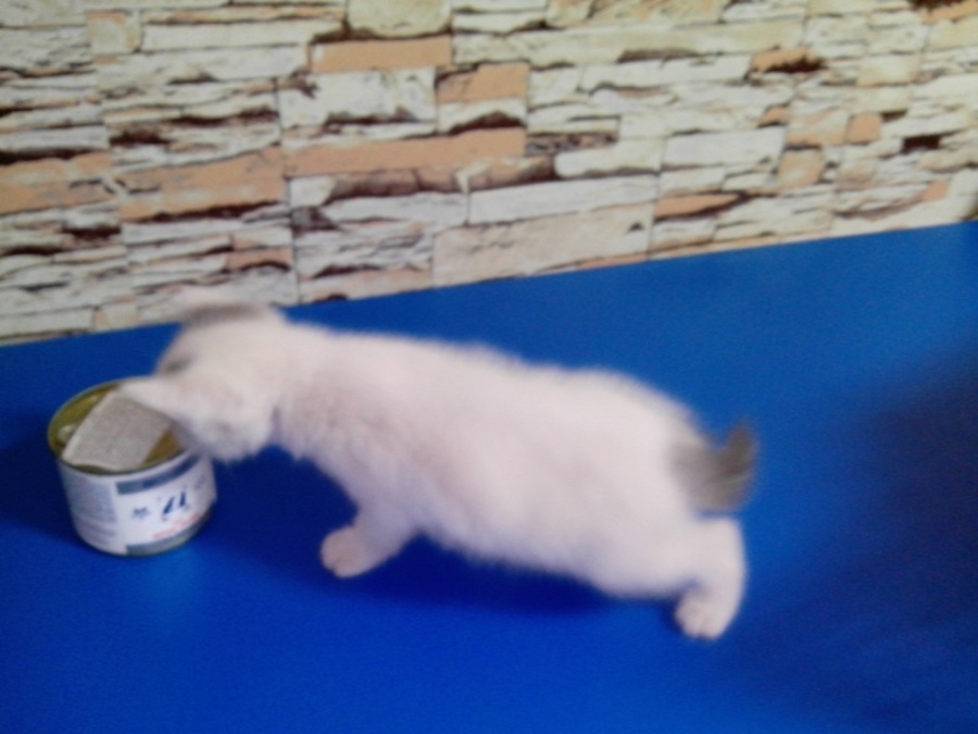 IMG_20130819_085015.jpg
