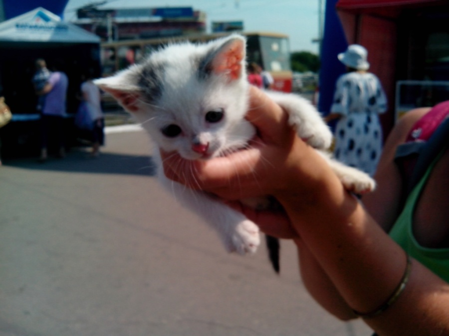 IMG_20130824_121255.jpg