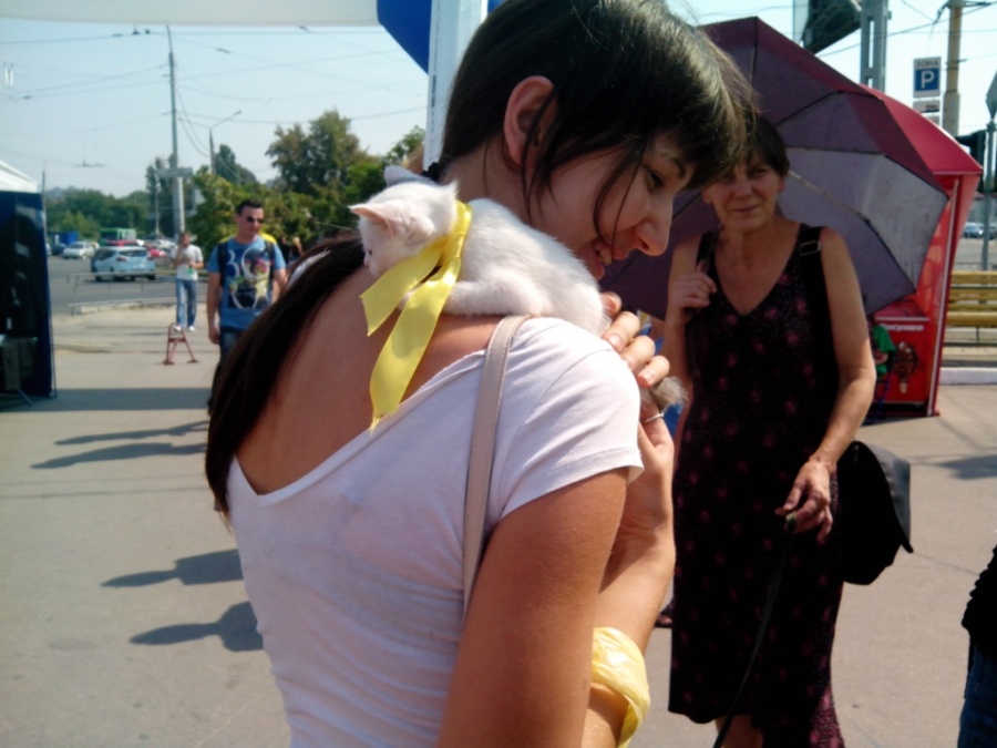IMG_20130824_131024.jpg