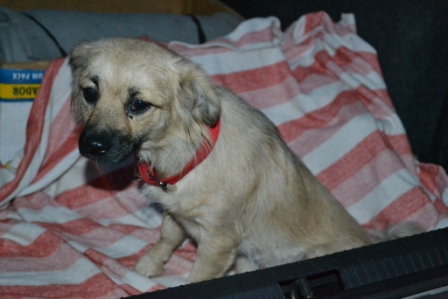 DSC_0003.JPG