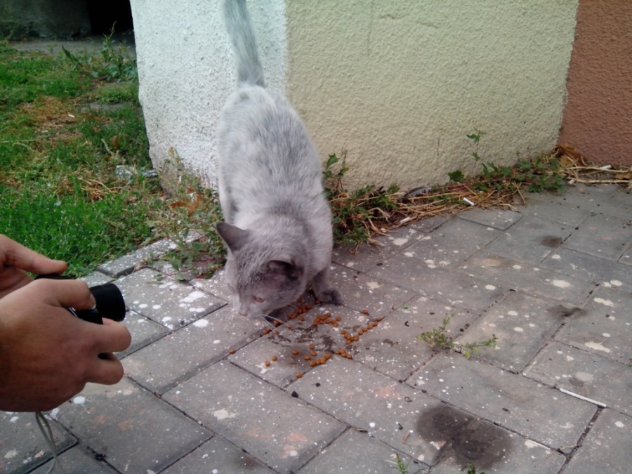 IMG_20130918_163439.jpg