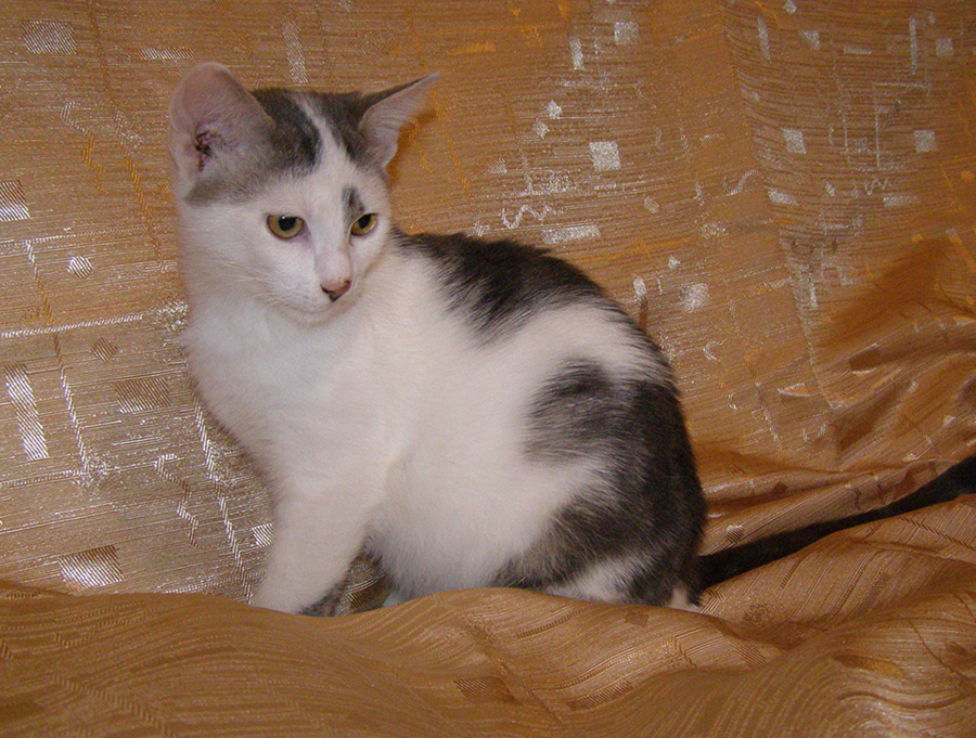 P1010737.jpg