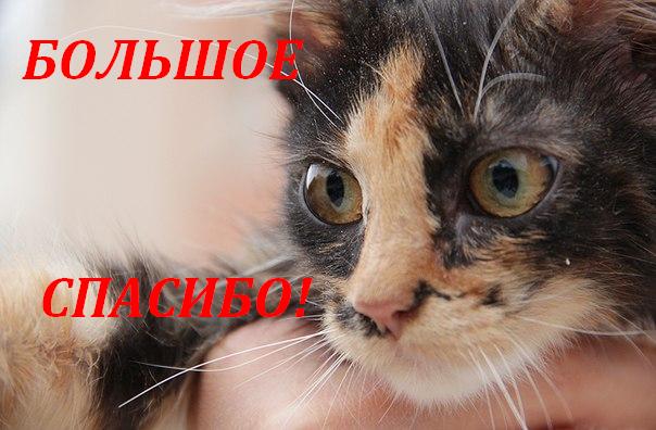 Копия lM8UiGNi9wg.jpg