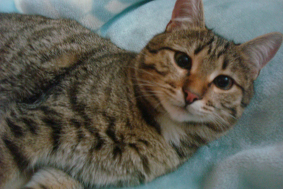 DSC05803.jpg