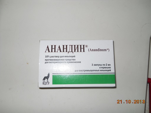 DSCN7729.JPG