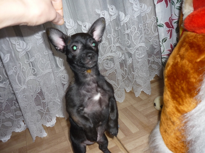 P1080067-3.JPG