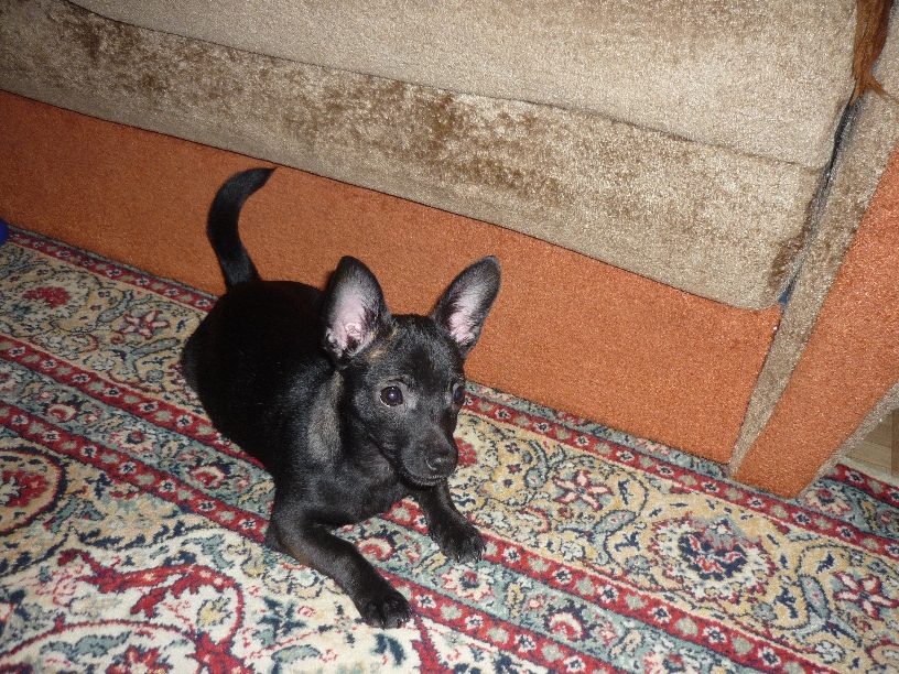 P1080068-2.JPG