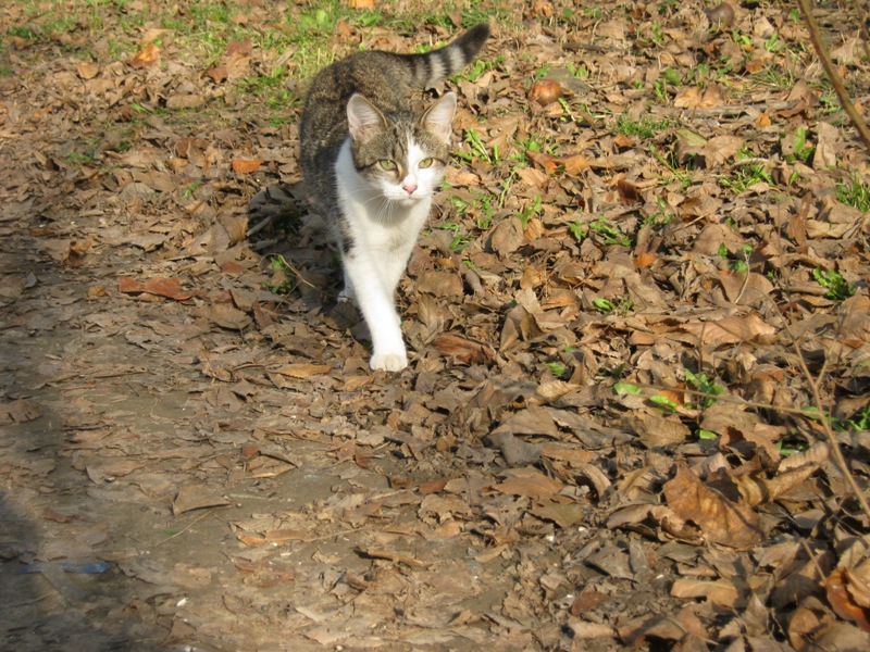 IMG_4213.JPG