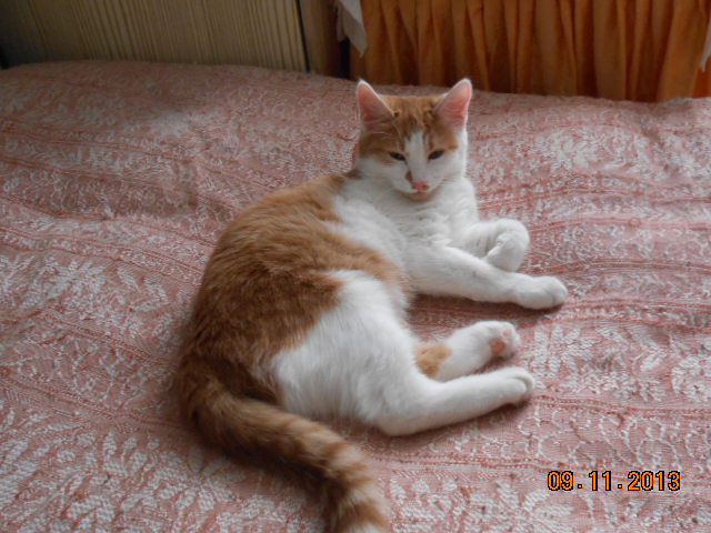 DSCN0386.jpg