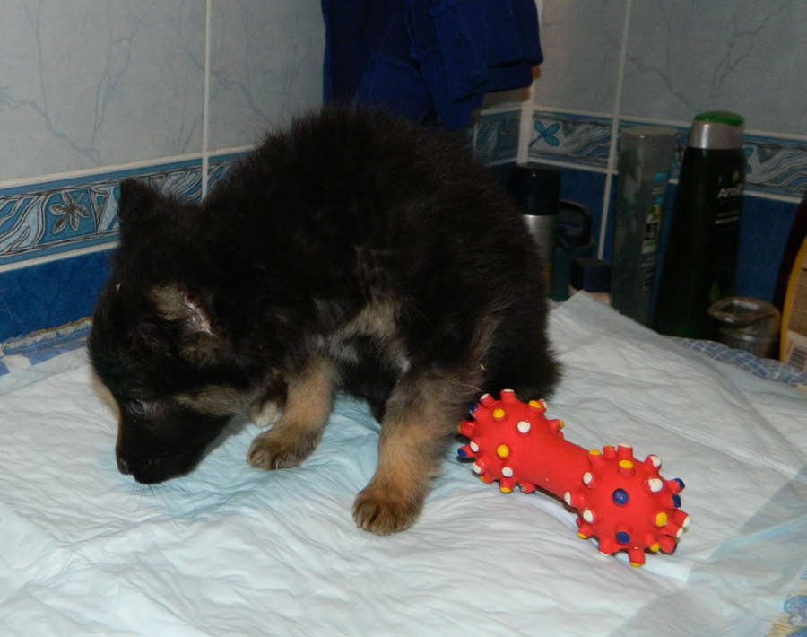DSCN1040.jpg
