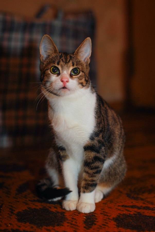 DSC_0514.jpg