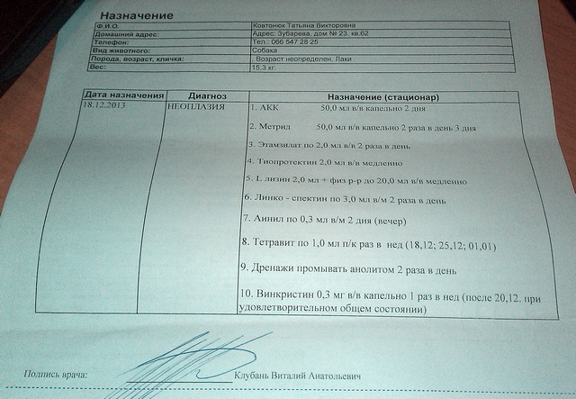 IMAG0270.jpg