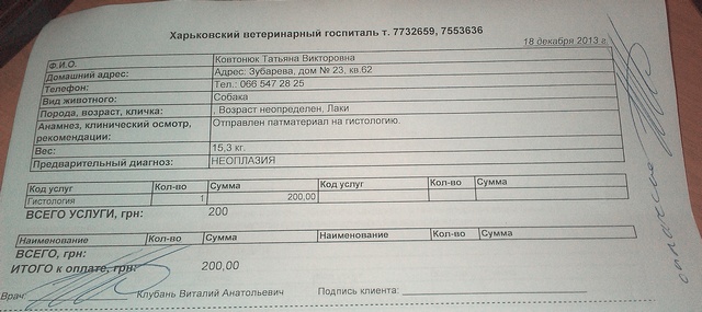 IMAG0271.jpg