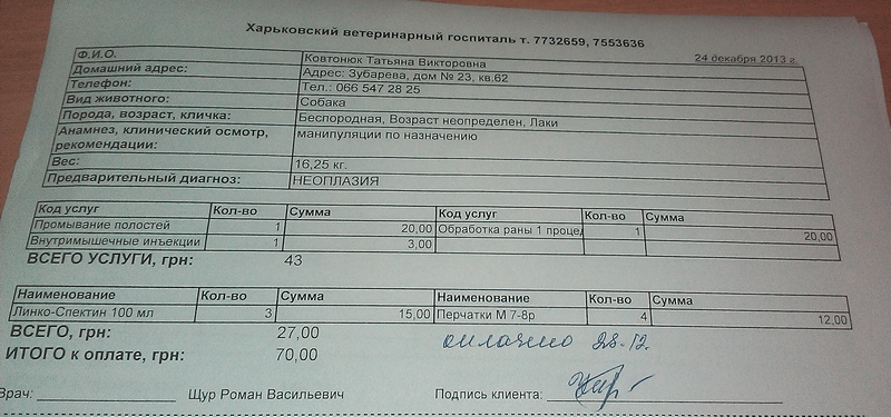 24.12 №2.jpg