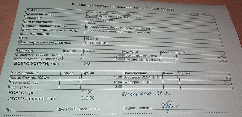 27.12.jpg