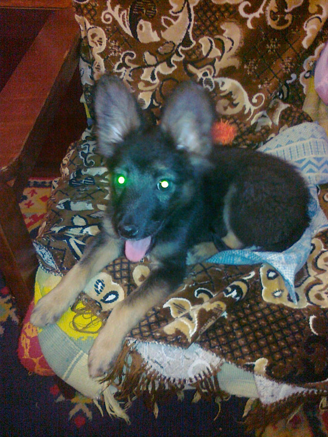 141220131306.jpg