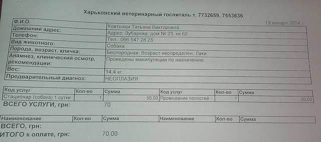 19.01.14.jpg