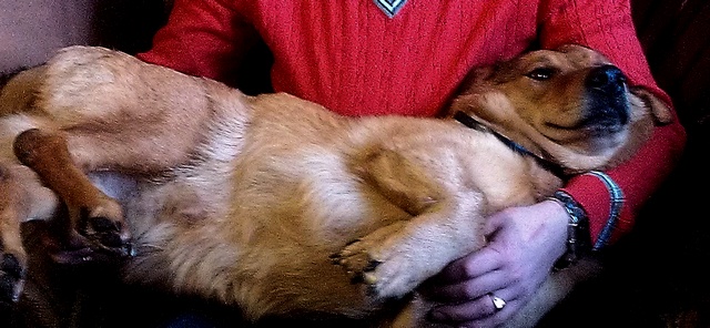 IMAG0355.jpg