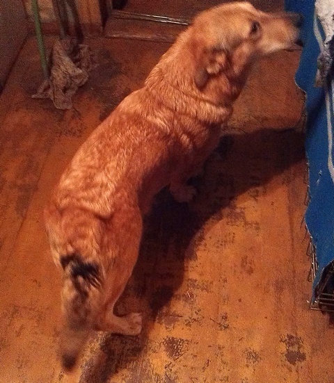 IMAG0255.jpg