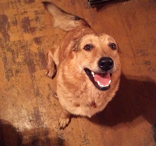 IMAG0259.jpg